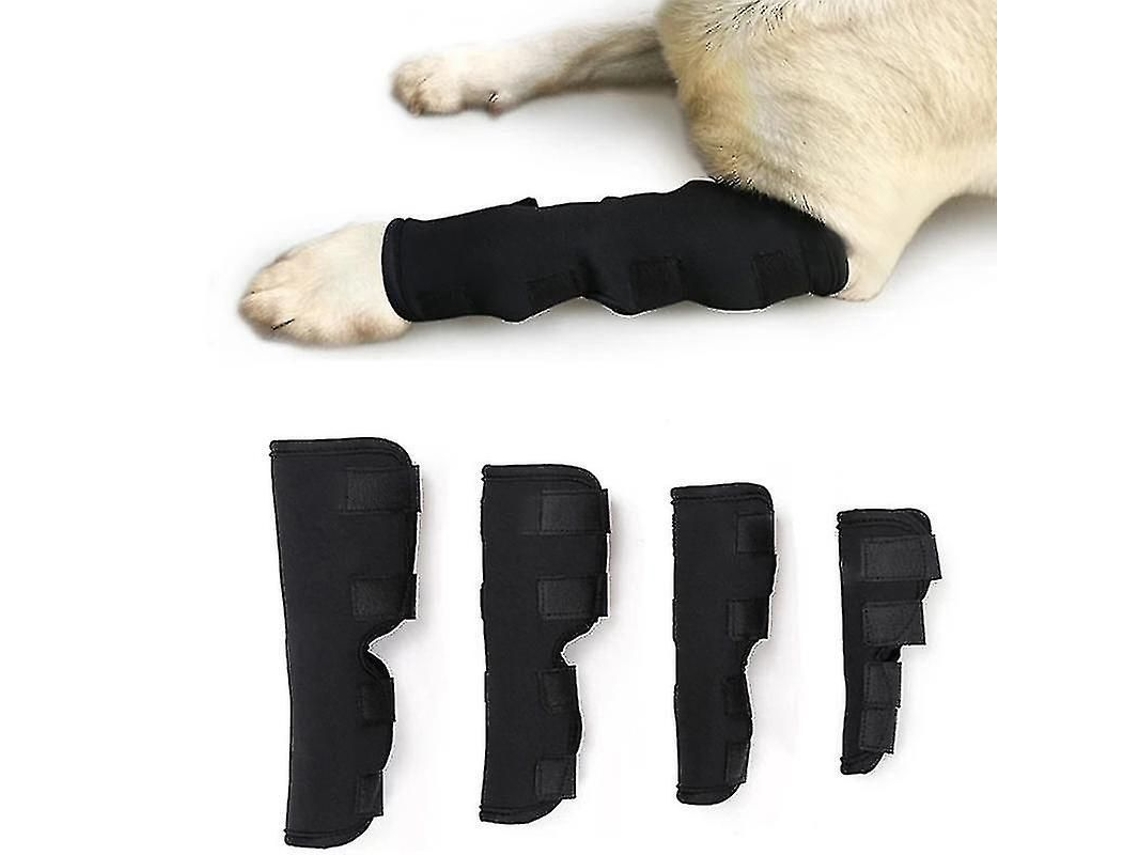 2026-manga De Soporte Para Tobillo De Perro, Compresión Y Protección De Articulaciones, Tallas S/m/l/xl