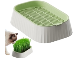 Maceta Para Hierba Gatera – Maceta Hidropónica Para Hierba Gatera – Herramientas De Plantación De Doble Capa Para