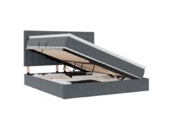 Maison Exclusive - Cama Con Almacenamiento Y Led Con Led Gris Oscuro 160 X 200 Cm