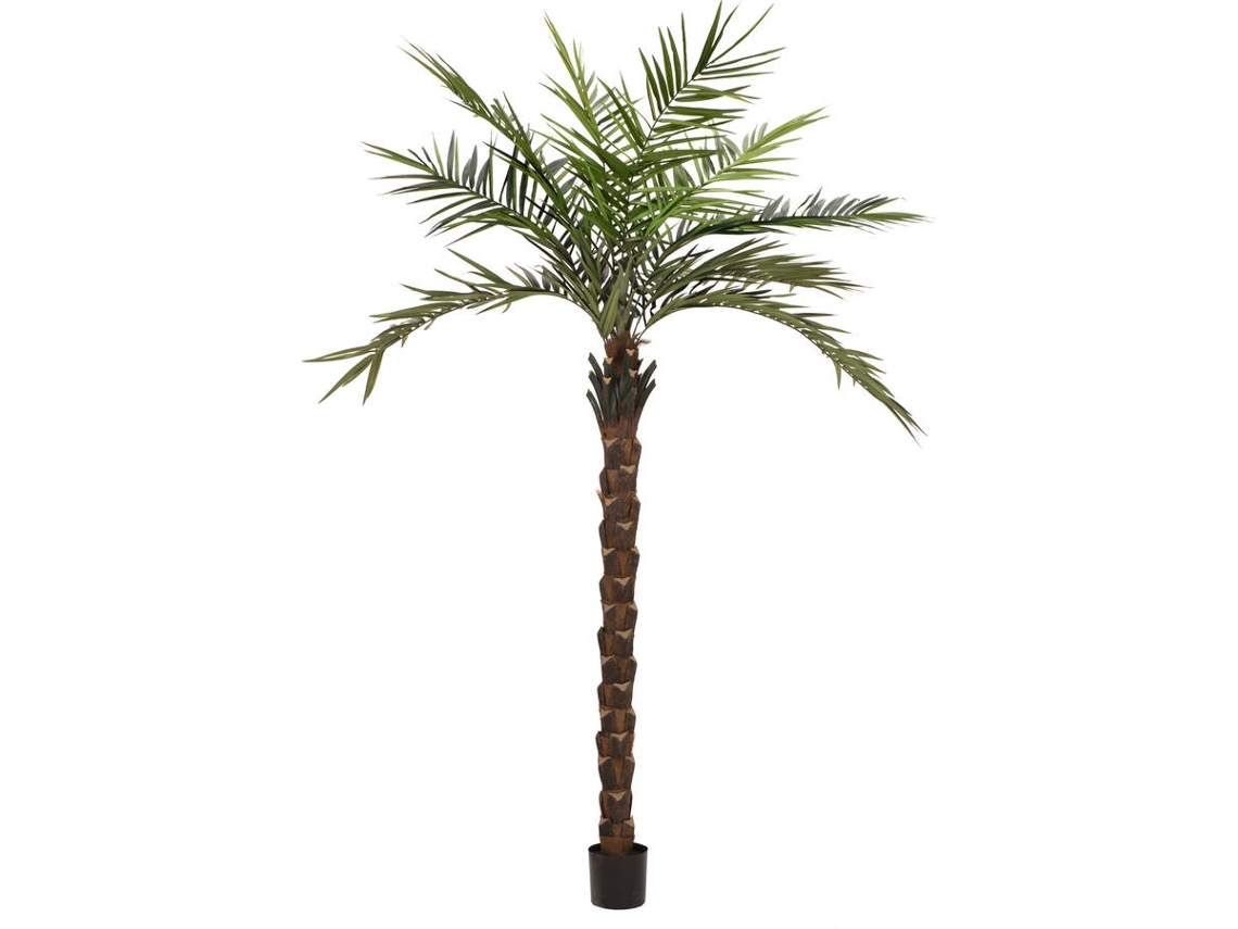 Planta Artificial EUROPALMS Kentia Palm Deluxe (Verde - 300 cm)
