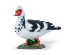 Figurita Pato Moscovita