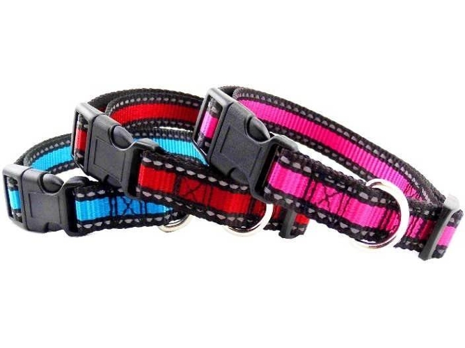 Collar para Perros Reflector (Multicolor - 20-30x1cm - Nylon - S - Porte Pequeño)