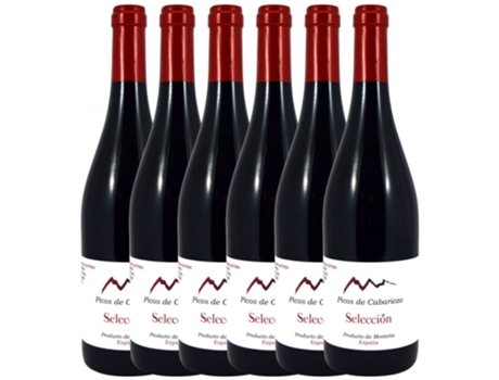 Vino LEBANIEGA Lebaniega Picos De Cabariezo Selección (0.75 L - 6 unidades)