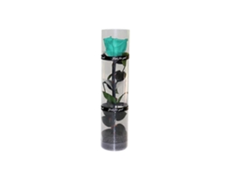 Omni-rosa Preservada Real, Rosa Eterna Con Tallos Y Hojas Reales, Flor Duradera Para Regalo Azul Lodo