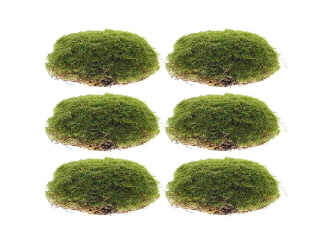 Secfou 6 Piezas De Piedras Artificiales Cubiertas De Musgo, Hechas De Espuma Y Plástico, Decoración Decorativa Para