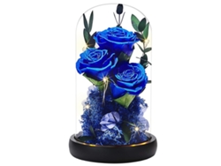 Rosas eternas en cúpulas de cristal Regalos de Navidad para mujeres Rosas preservadas para cumpleaños Esposa Madre Amiga Abuela