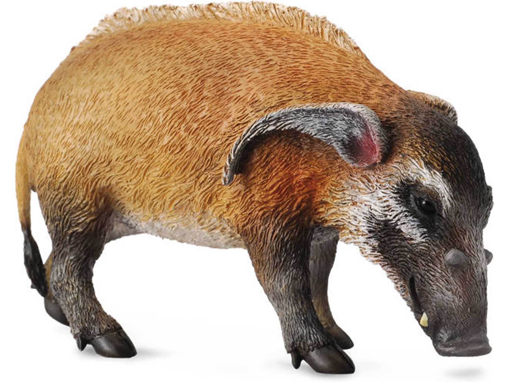 Figura COLLECTA Re Rive Hog