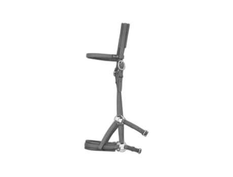Bridas de equitación T de T Sidepull Biotack®
