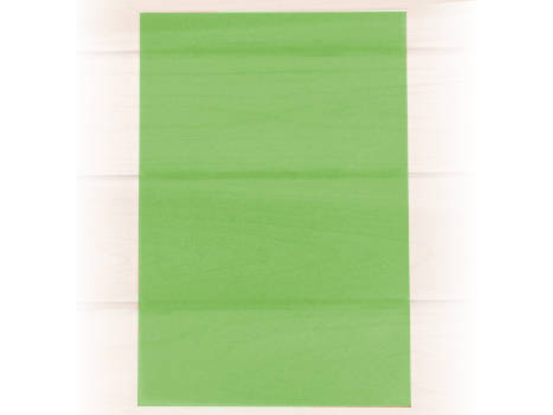 Papel Vegetal SCHOELLERSHAMMER 1837684 (A4 - Verde - 10 Hojas)