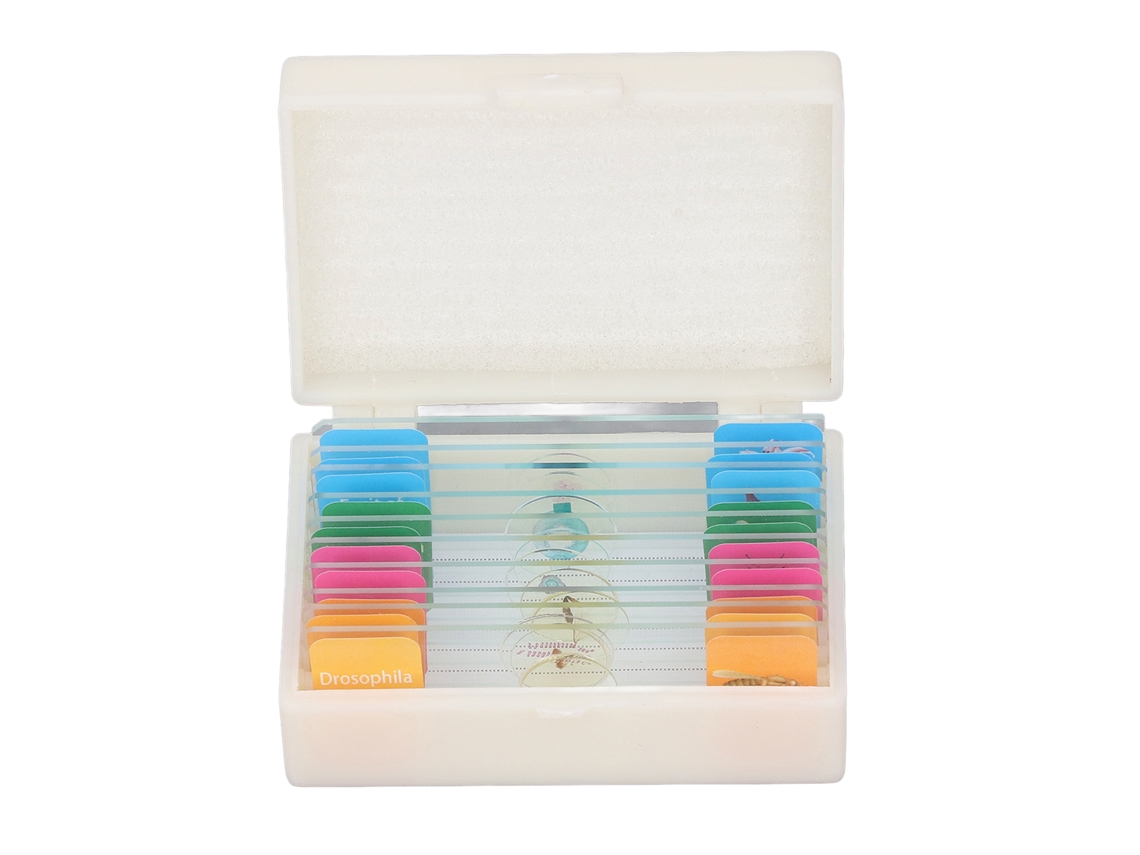 10 portaobjetos para microscopio con muestras para uso en laboratorio, sin marcar.