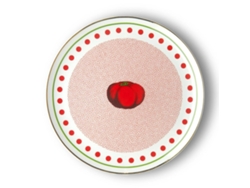 Piatto Pomodoro Porcelana Bitossi