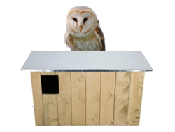 Jogo de Mesa ESSCHERT DESIGN Barn Owl Box (3 Anos)