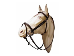 Focinheira Elevada e Freio de Testa Dourado Fullmarjoman Distribucion