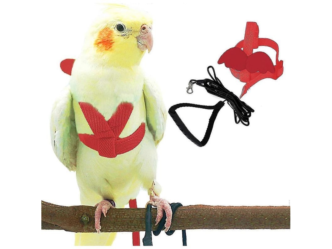 2026-arnés Ajustable Para Aves Con Correa De 2 Metros, Kit De Entrenamiento Al Aire Libre Para Loro Cacatúa Y Periquitos