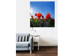 Estor Enrollable HAPPYSTOR Estampado Digital Paisajes HSCPExc038001 195x250 cm
