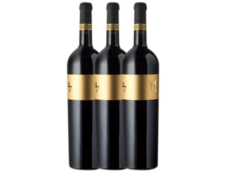 Vino Tinto ANNO DOMINI Anno Domini Raboso Piave Crianza (0.75 L - 3 unidades)