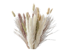 Natural Pampas Grass Decor 40 Pieces, 45cm Natural Dried White Bunny Tail Wheat Dust Pampas Grass P