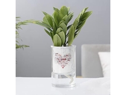 Vaso de Flores Auto Rega Cerâmica Camada Dupla Criativo para Interior e Exterior C
