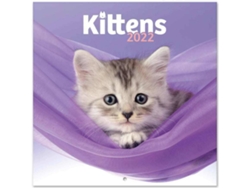 Calendario ERIK EDITORES 2022 30X30 Cat Simon K. & Greg C.