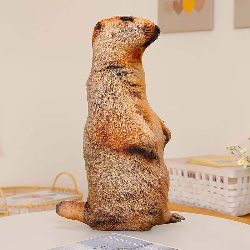 Cojín Decorativo Con Diseño De Marmota (40x36 Cm) En 3d, Ideal Para Sofá O Dormitorio.