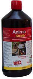 Complemento Alimenticio de Perros ANIMA STRATH Suplemento (1L)