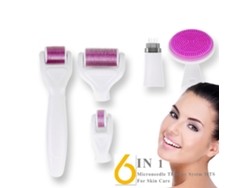Rolo De Derma Com Agulhas Micro 6 Em 1 Para Cuidado Facial, 4 Cabeças Intercambiáveis, Material De Liga De Titânio