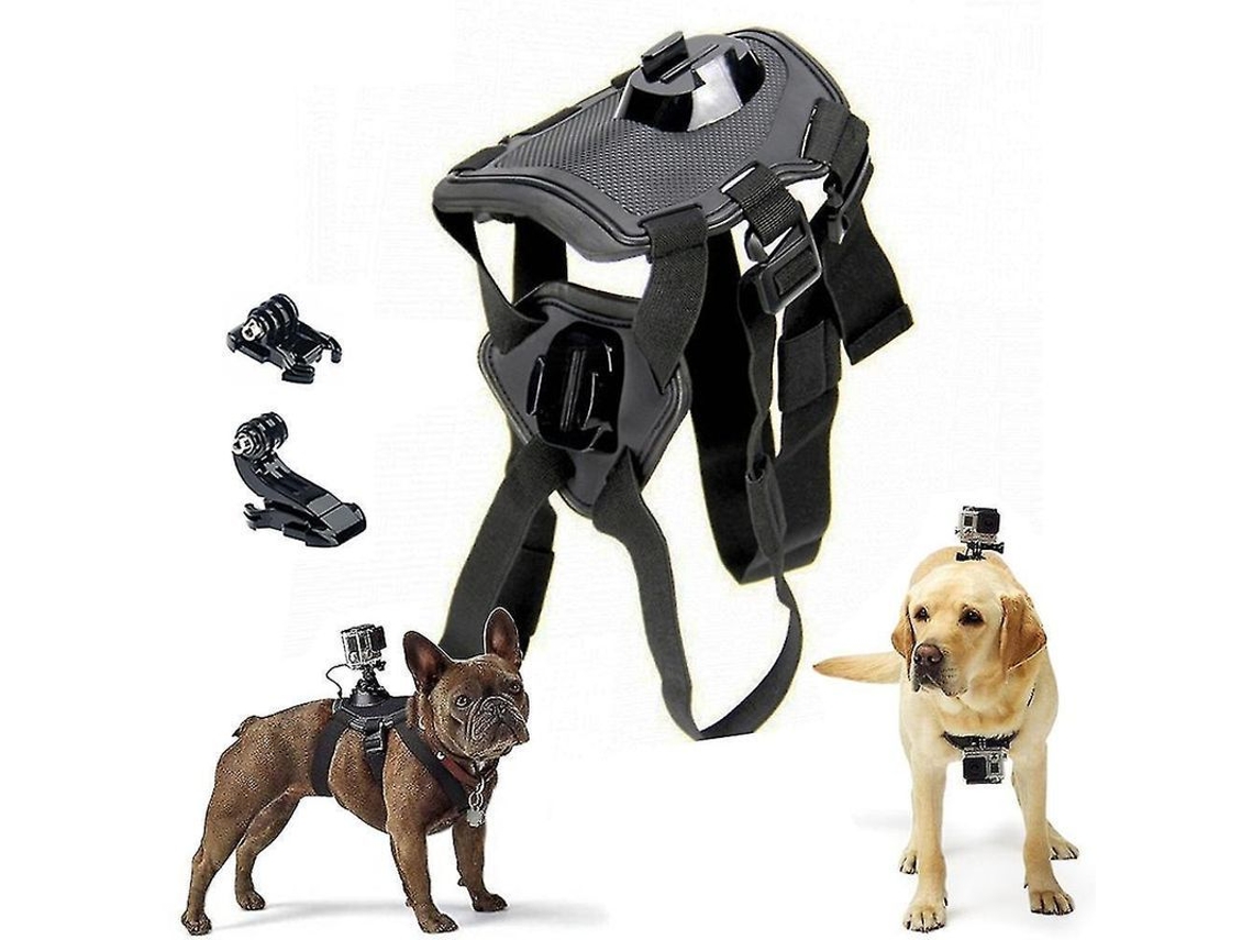 Arnés ajustable Rebe para perros compatible con cámaras GoPro Hero 8 7 6 5 4 3 - Montura deportiva