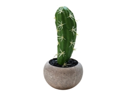 Planta de simulación en maceta, flor de simulación, Cactus, bonsái, decoración creativa, planta verde RNEMITERY