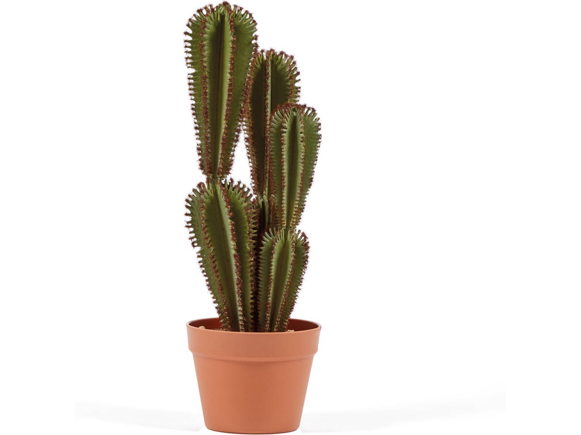 Planta Artificial CATRAL Cactus Euphorbia Suzannae (57,5 cm)