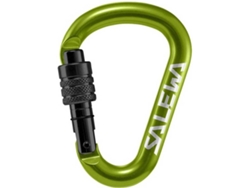 Mosquetón De Escalada SALEWA Hms Screw Gédio (Verde - 110 x 72 cm)