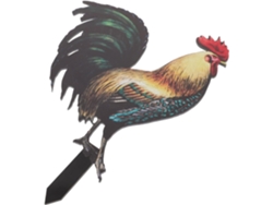 Estaca Decorativa Acrílica Con Forma De Gallo, Panel De Jardín, Adorno Para Césped