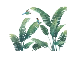 Plantas tropicales inspiradas en la naturaleza, despegables y adhesivas, decoración para el hogar resistente al agua, material de PVC duradero, fácil de aplicar para el hogar.