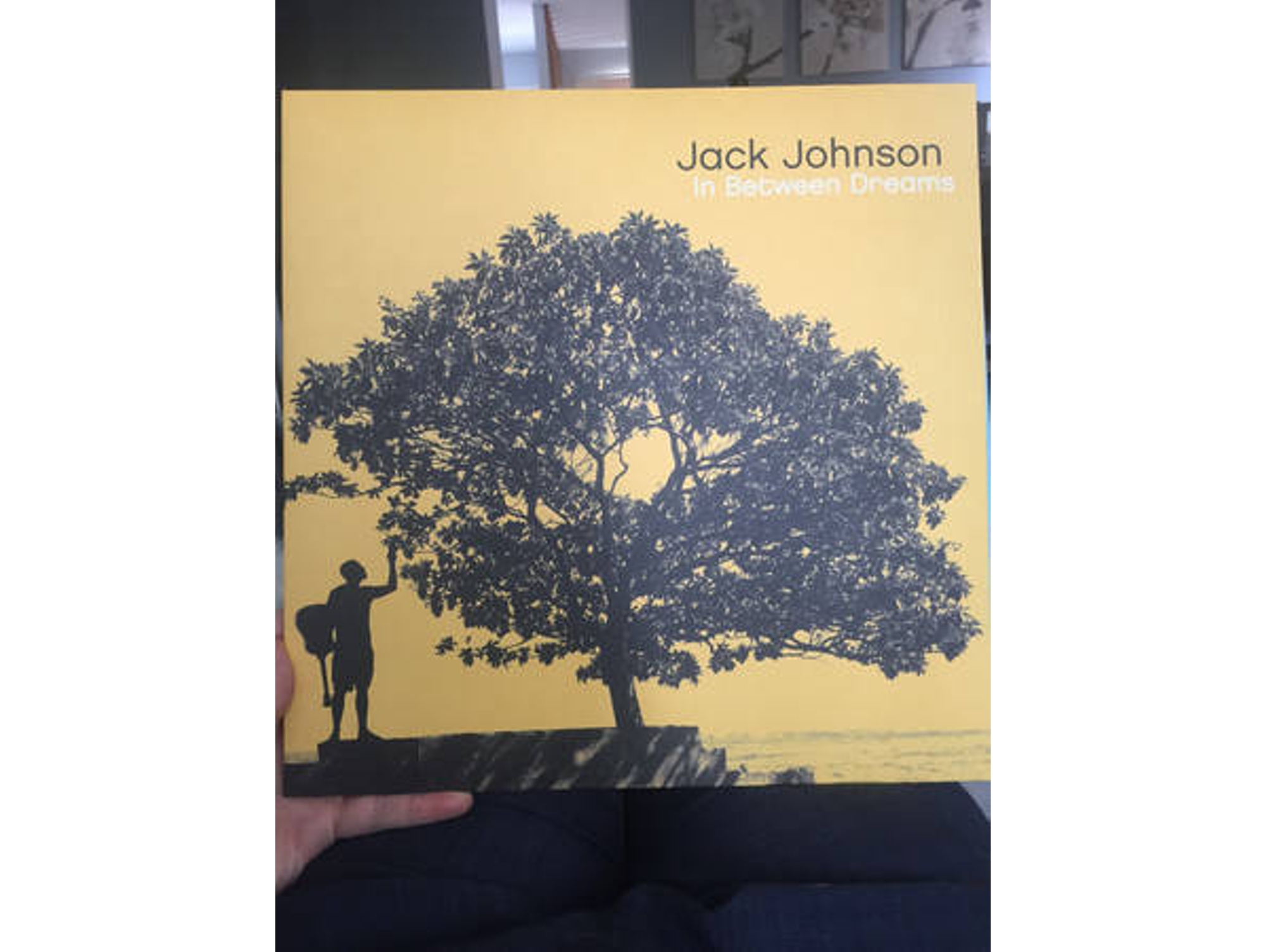 Vinilo LP Jack Johnson - In Between Dreams