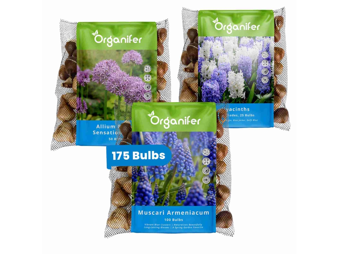 Caja de bulbos de flores sorpresa azul, organizador de bulbos de flores XXL.