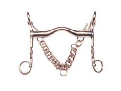Porta Fixa e Corrente em Aço Inoxidável Mordeu Polo Dourado 13.5 Cmmarjoman Distribucion