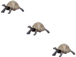 Figura Decorativa De Plástico De 3 Piezas Con Forma De Tortuga Para El Hogar Y La Oficina.