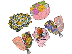 Conjunto De 5 Broches De Esmalte Com Motivos Anatômicos, Alfinetes Decorativos Para Roupas, Bolsas E Acessórios.