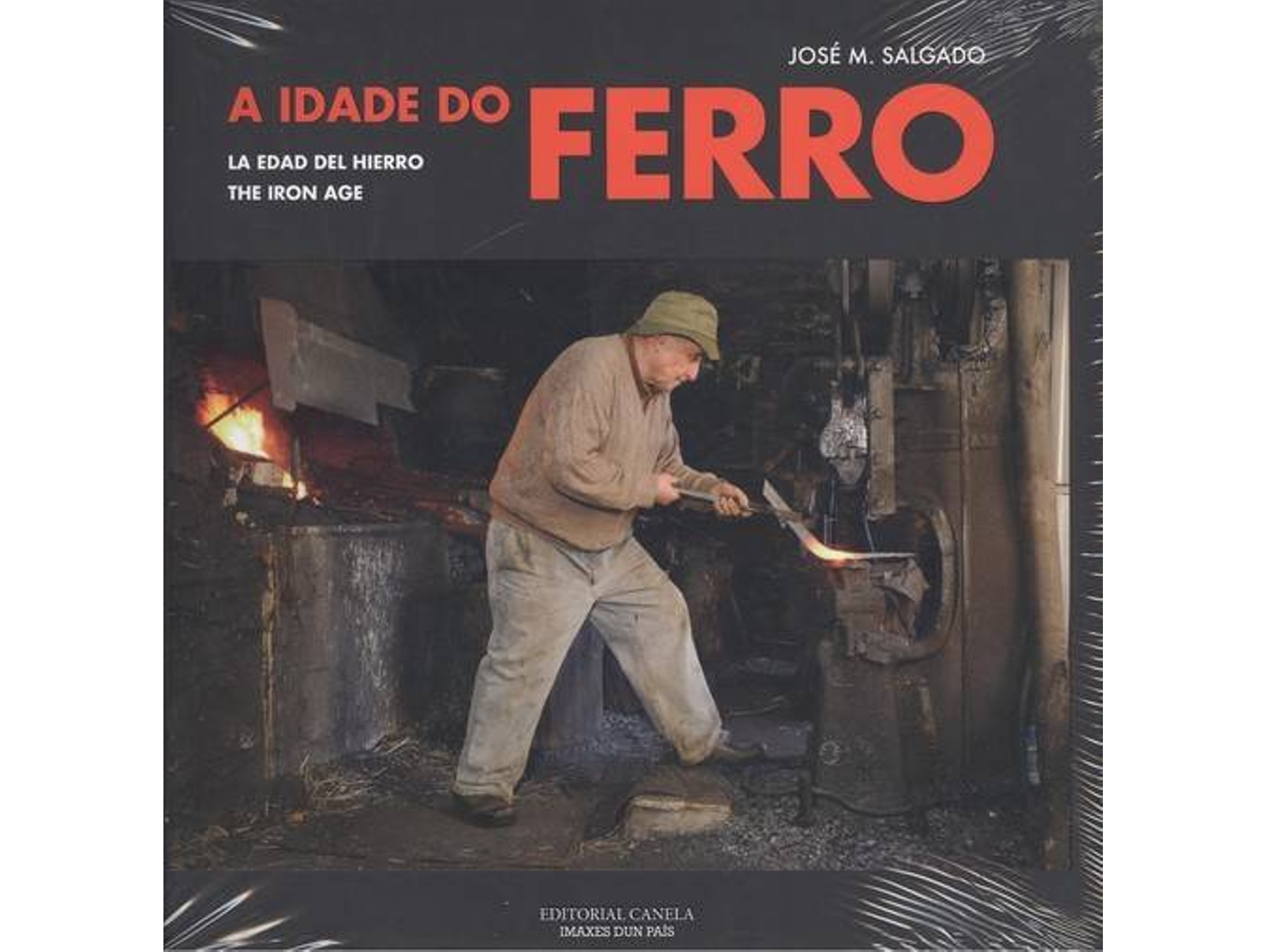 Libro A Idade Do Ferro de José M. Salgado