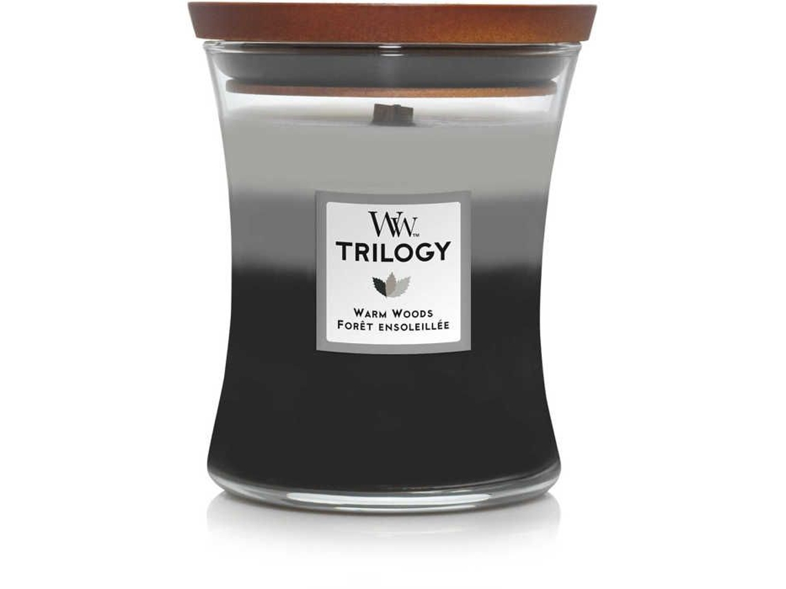 Vela de vidrio mediana Woodwick 92911e