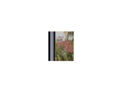 Malla Mosquitera de Fibra de Vidrio 120gr/m2 - Gris 1,2 x 30 metros