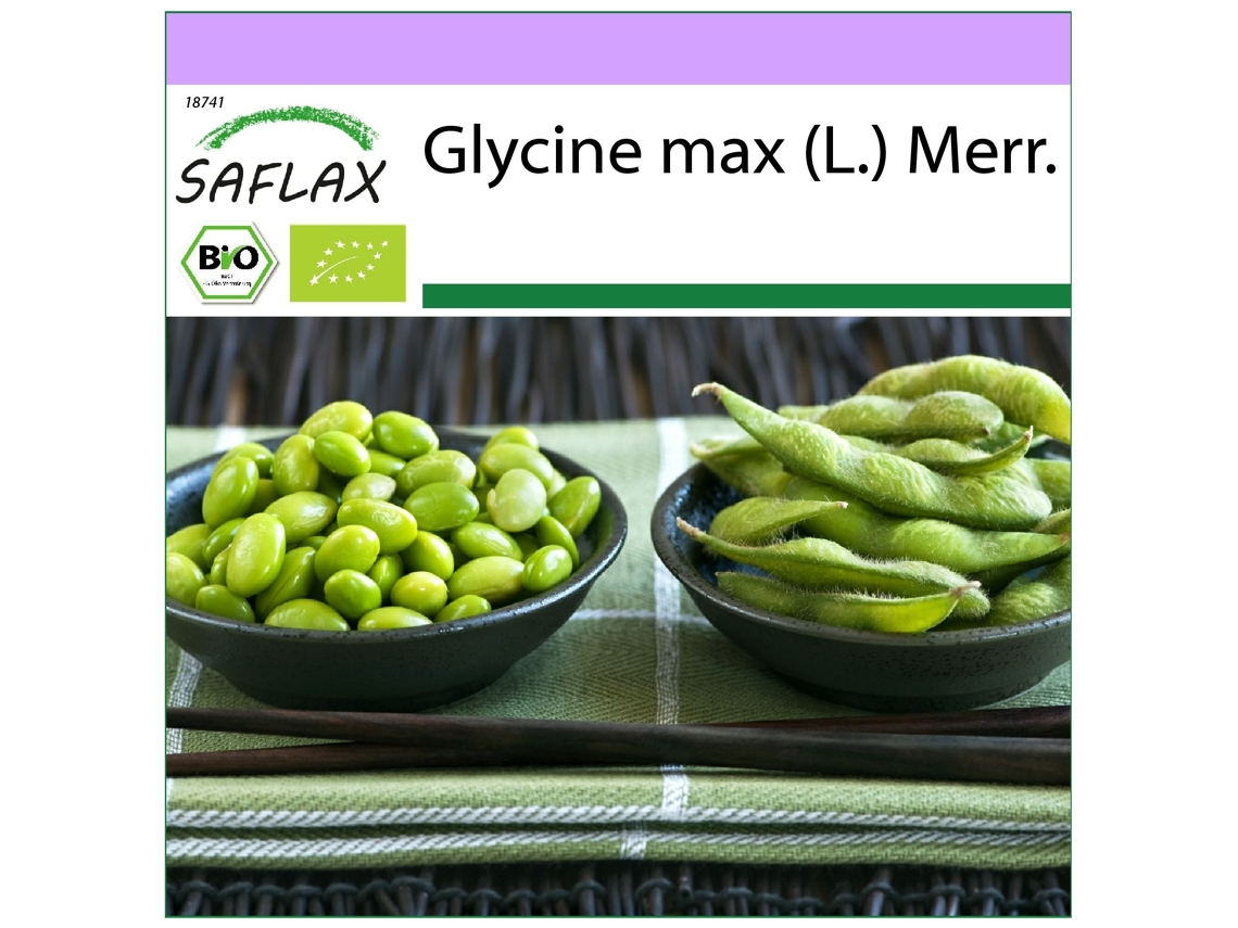 SAFLAX Ecológico Alubia Edamame 8 semillas Glycine max (L.) Merr.