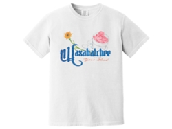 Waxahatchee Illustrated Snow Cone T-shirt Rockinstone Unisex Adults Best Sellers Size:s