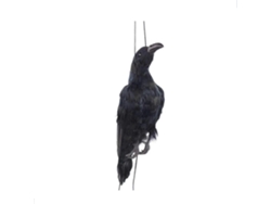 Colgante de cuervo muerto simulado y cuervo negro para decoración de jardín.