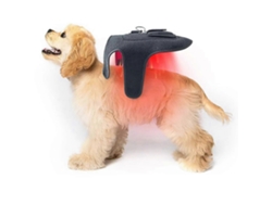 Cinturón de terapia de luz infrarroja para perros y gatos, dispositivo recargable con 42 LED ROSEWELL