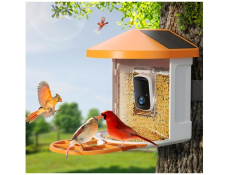Comedero para pájaros con cámara AI inalámbrica identifica especies de aves, cámara inteligente para observación de aves al aire libre, captura BIS...