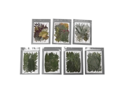Kit De Flores Secas Prensadas Naturales Para Manualidades, Joyería, Invitaciones Y Regalos - 245 Piezas