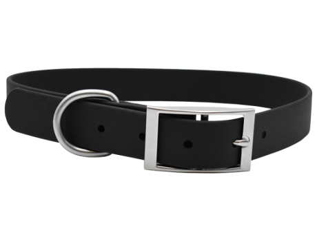 Collar para Perros MUSQUI (XL - Multicolor)