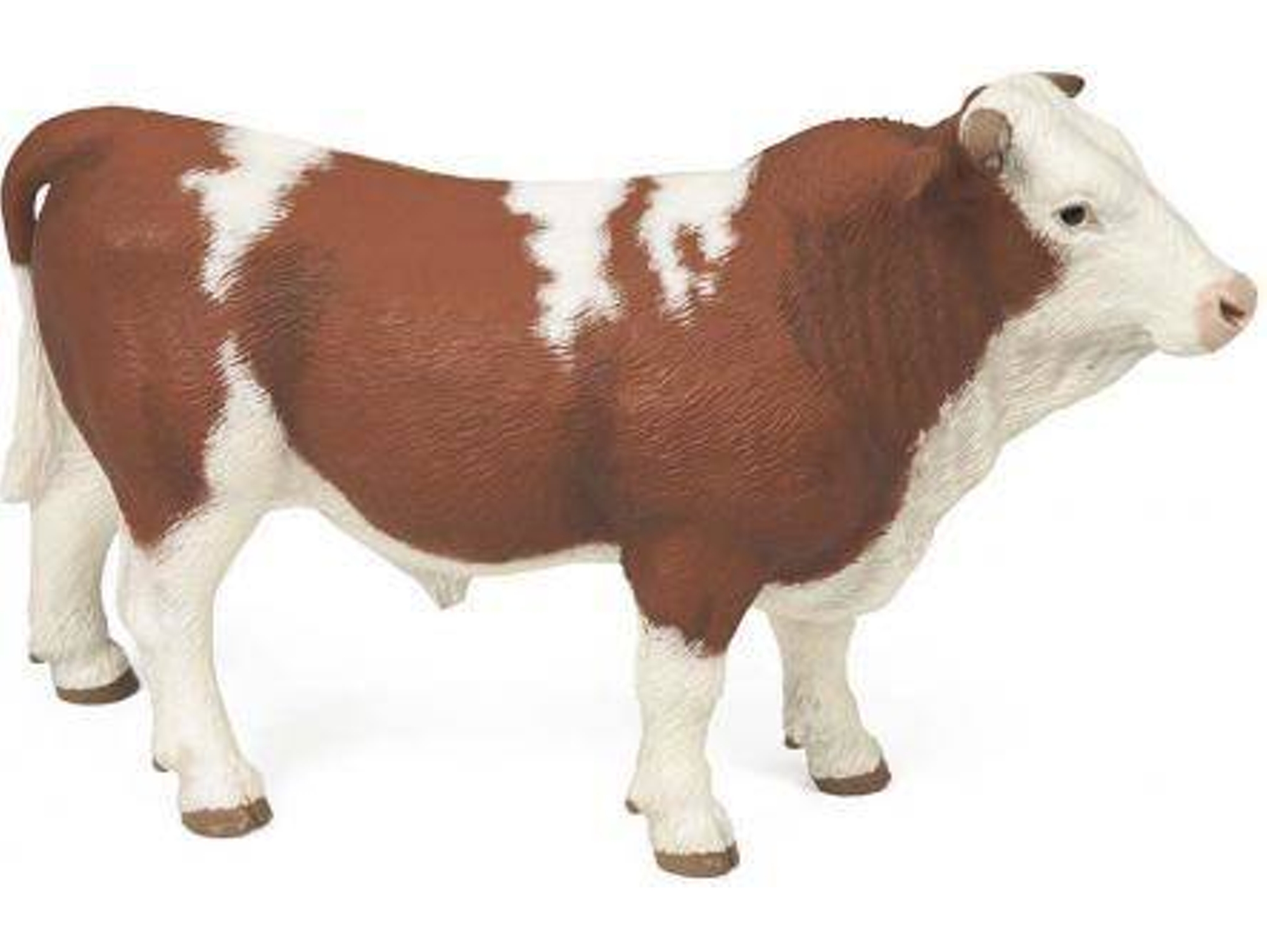 Figura PAPO Touro Simmental