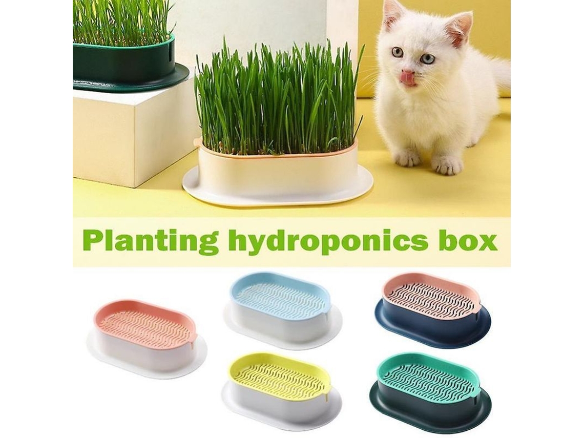 Plato De Cultivo Hidropónico Sin Tierra Para Gatos, Caja De Cultivo De Plástico Para Perros Y Gatos, Pet Blanco Azul