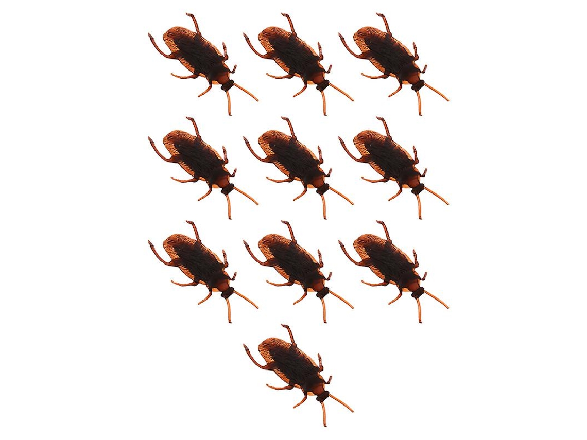 10 insectos falsos. ALLINLESS